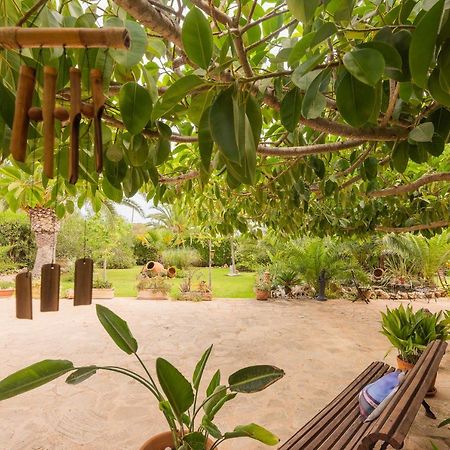 Villa Dolce Vita Puerto Colom Kültér fotó
