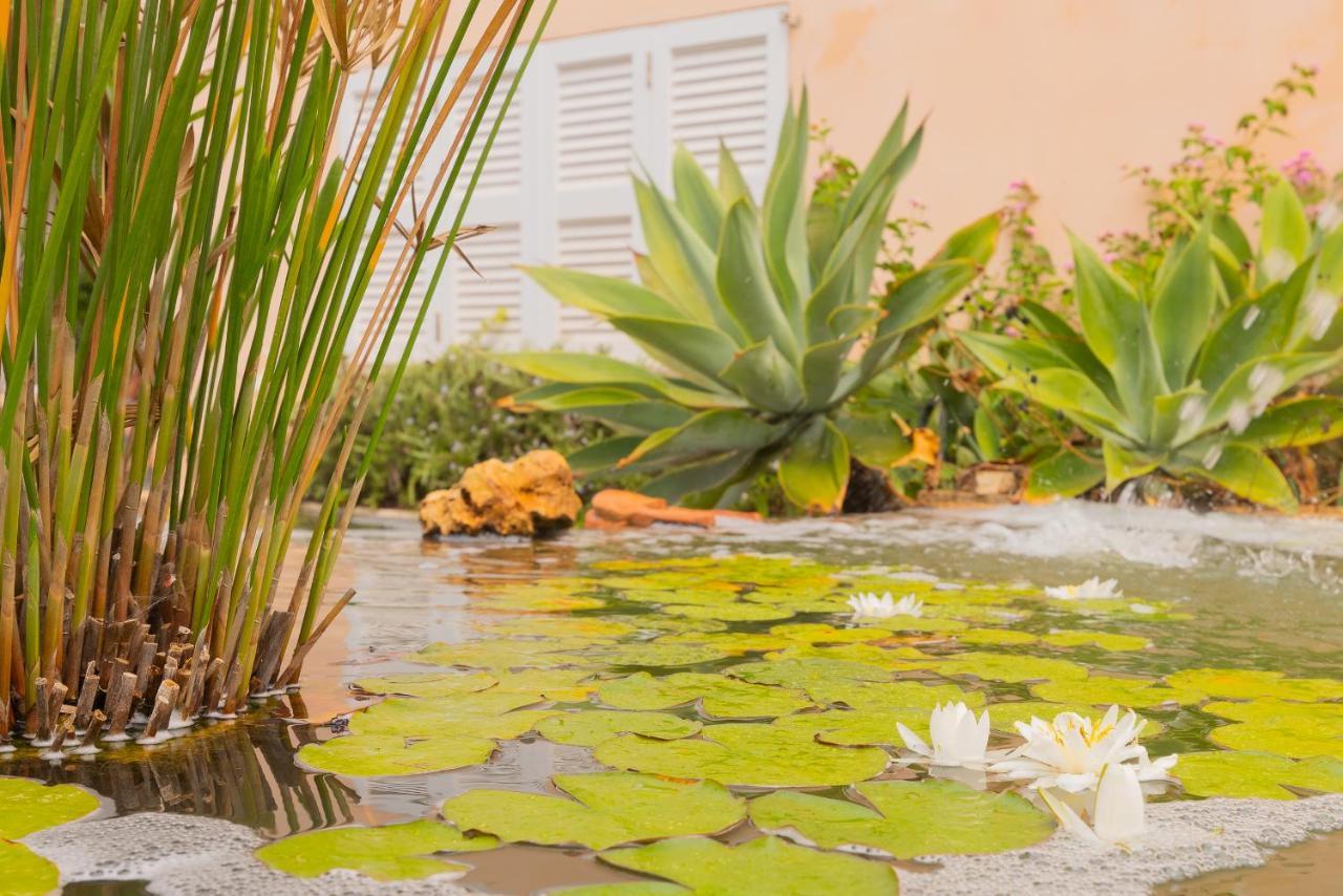 Villa Dolce Vita Puerto Colom Kültér fotó
